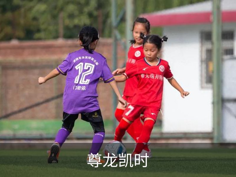 了解尊龙凯时